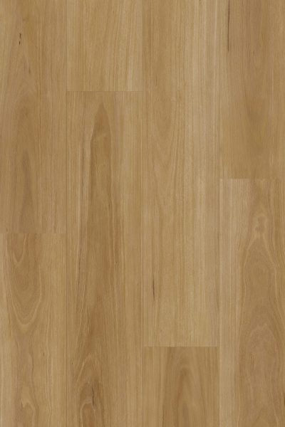 Classic Blackbutt 7105 Stonecore Hybrid Classic Collection