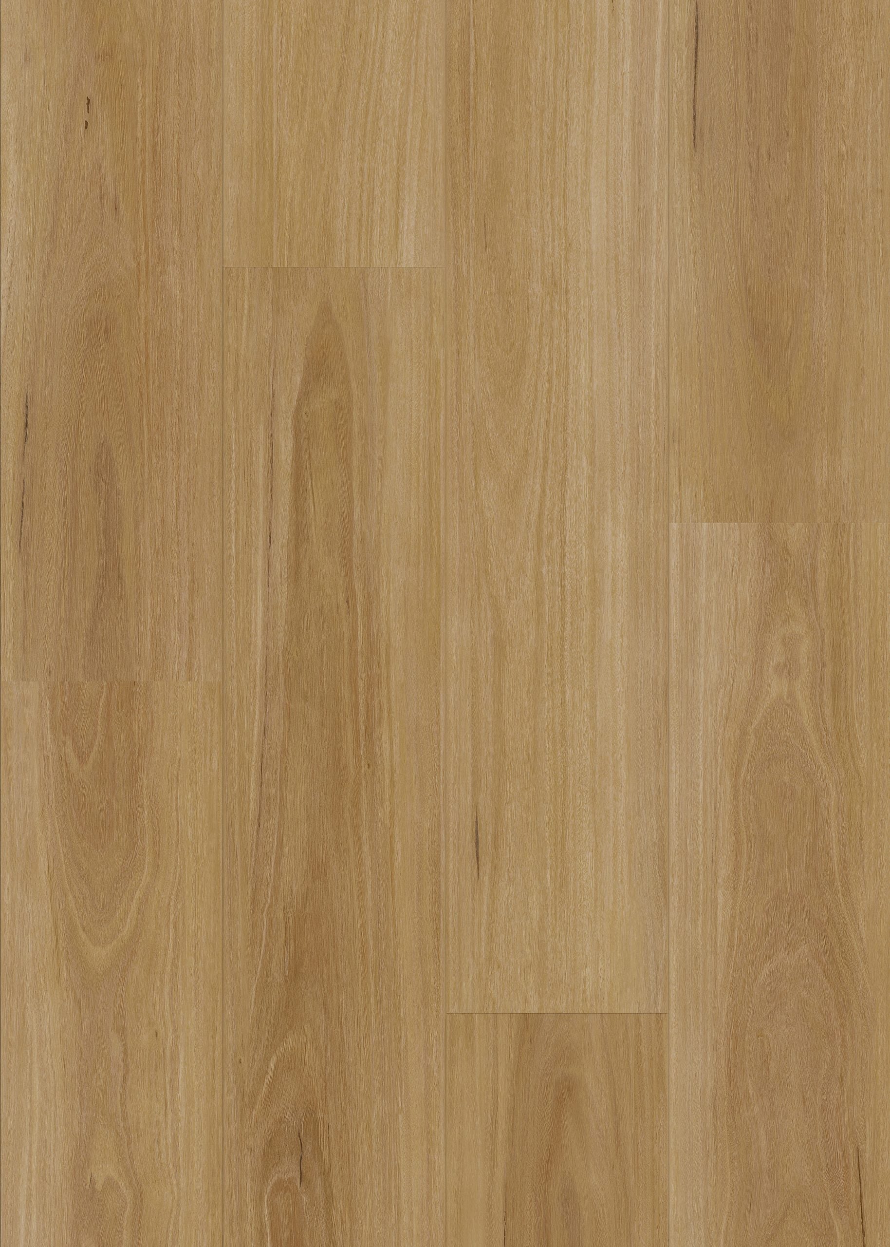 Classic Blackbutt hybrid flooring 7mm