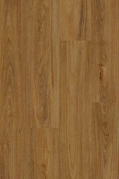 Qld Spotted Gum 7106 Stonecore Hybrid Classic Collection