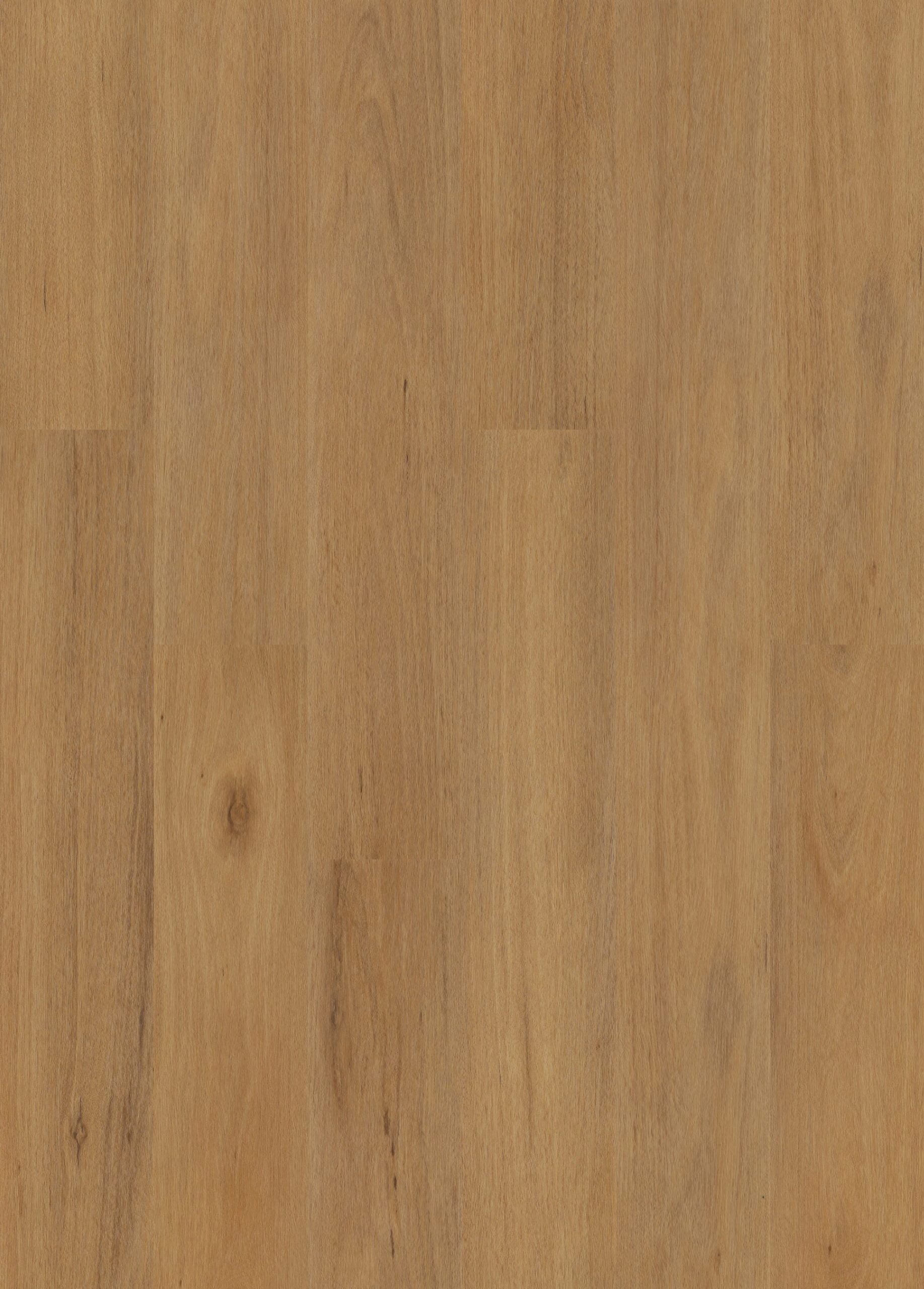 Northern Blackbutt hybrid flooring 9mm