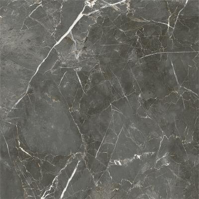 Atlas Grey Polished