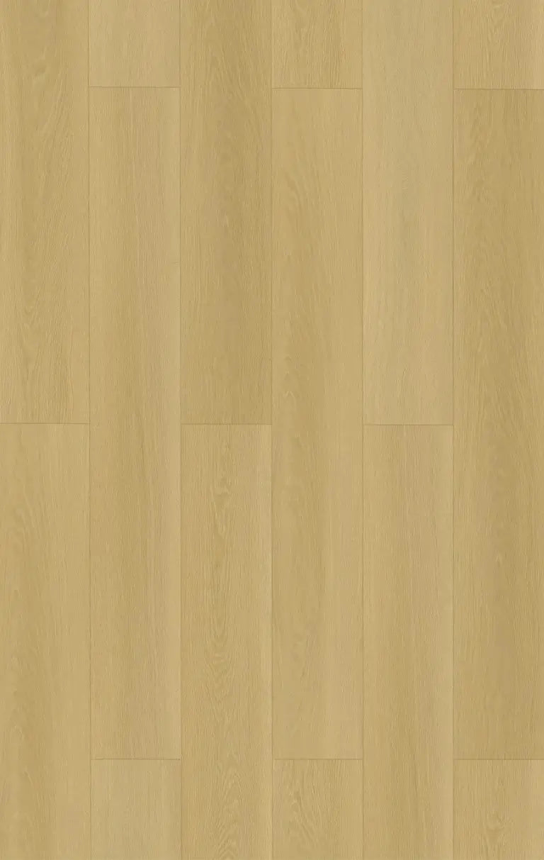 Modern Oak