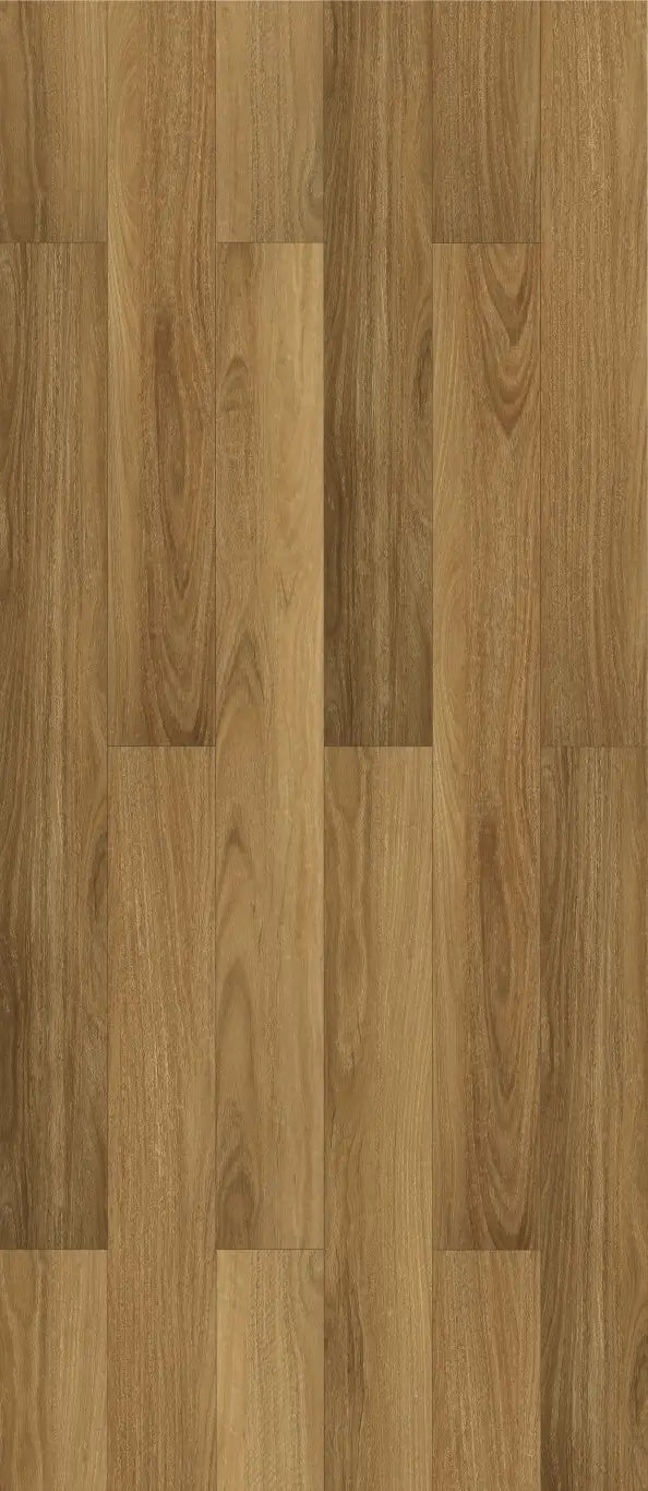 NSW Spotted Gum
