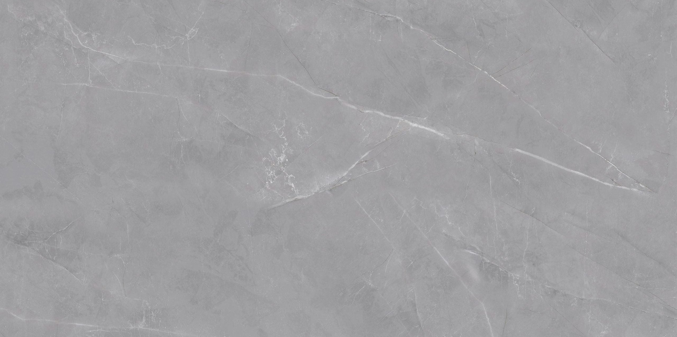Pulpis Grey Polished