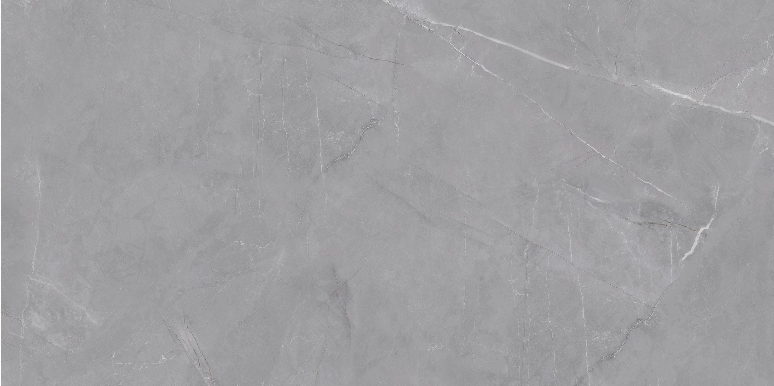 Pulpis Grey Polished