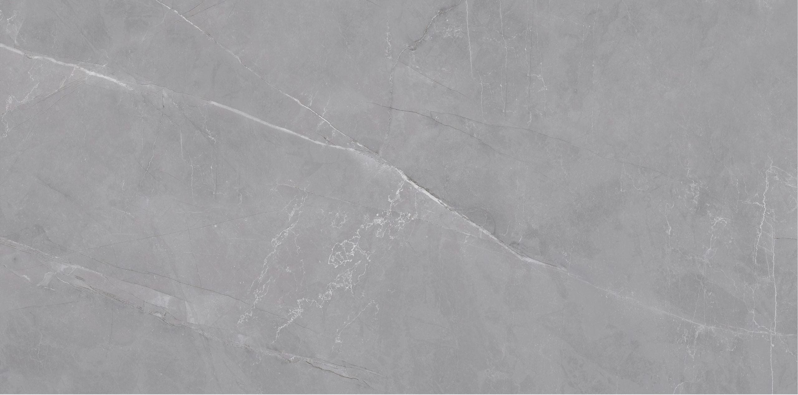 Pulpis Grey Polished