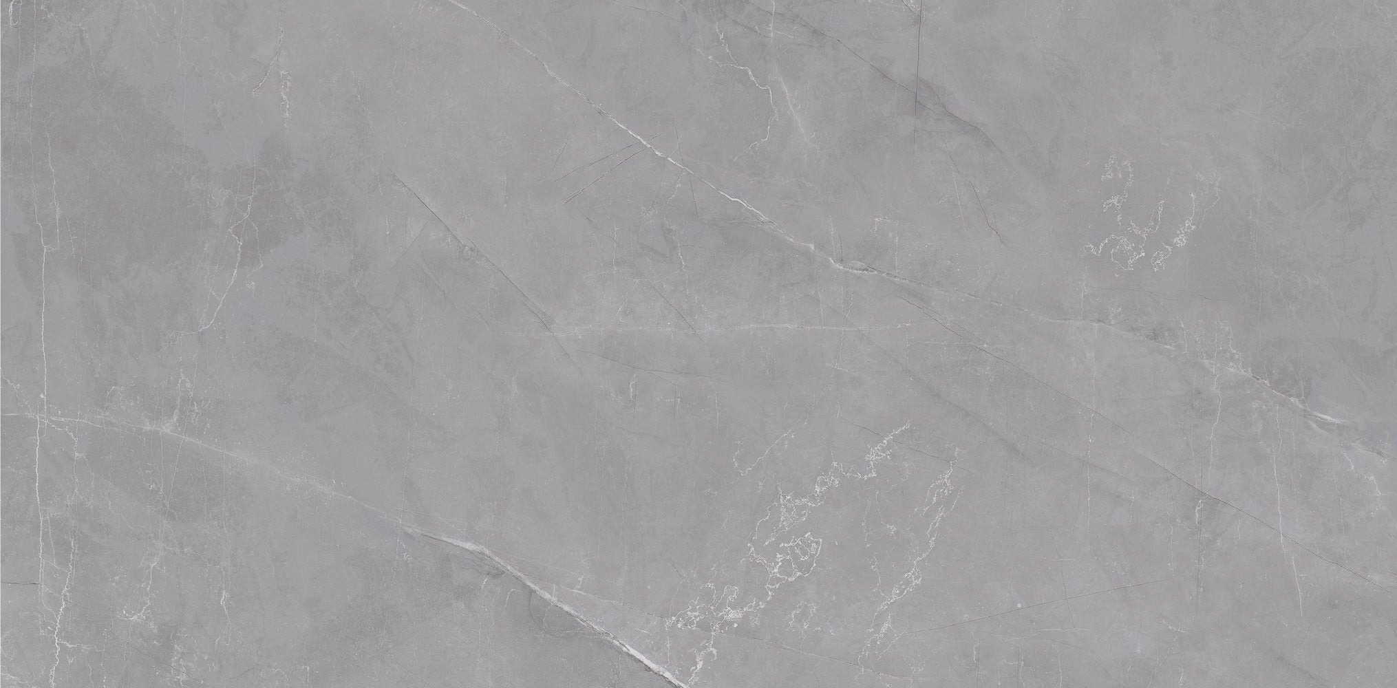 Pulpis Grey Silky