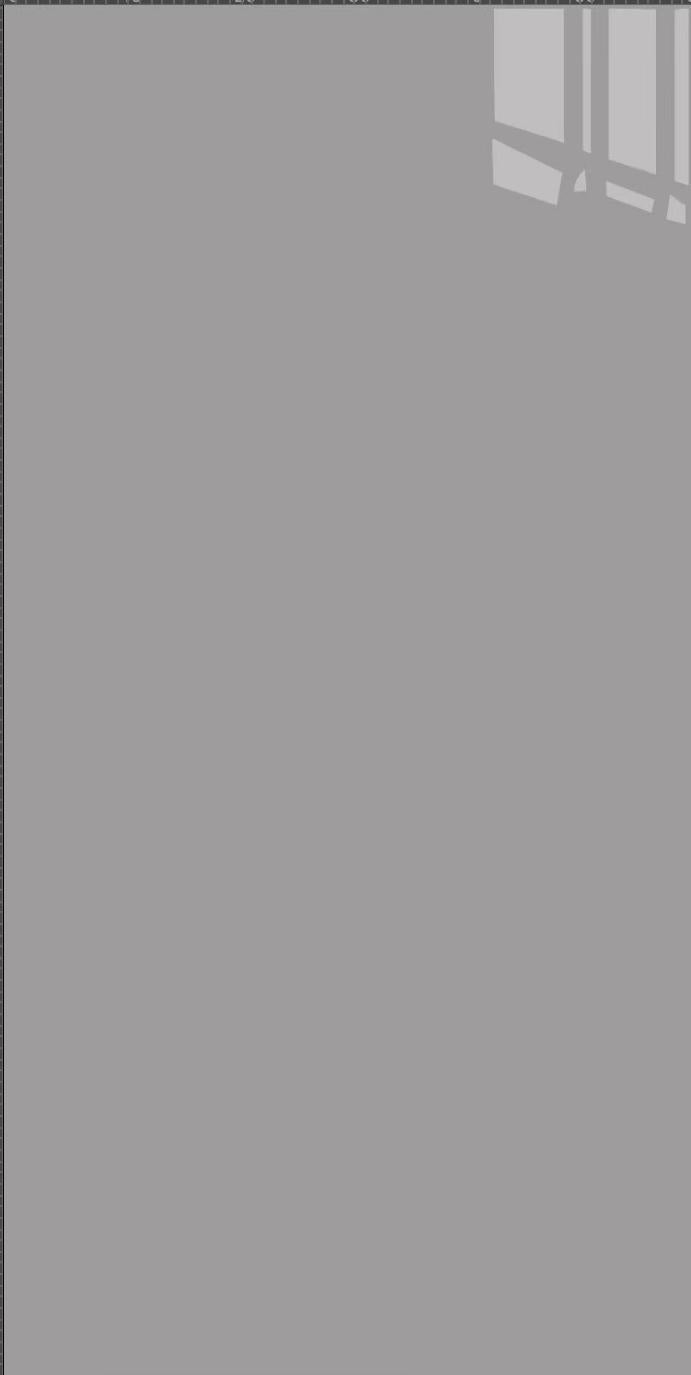 Plain Grey Polished 750 x 1500mm porcelain tile