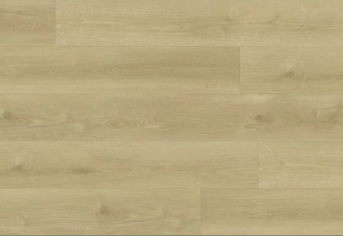Urban Oak